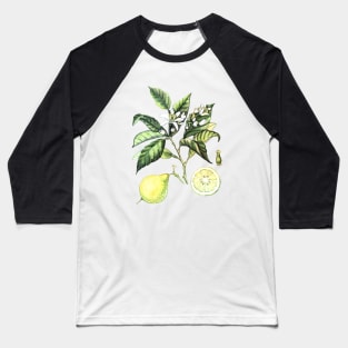 Watercolor Bergamot Baseball T-Shirt